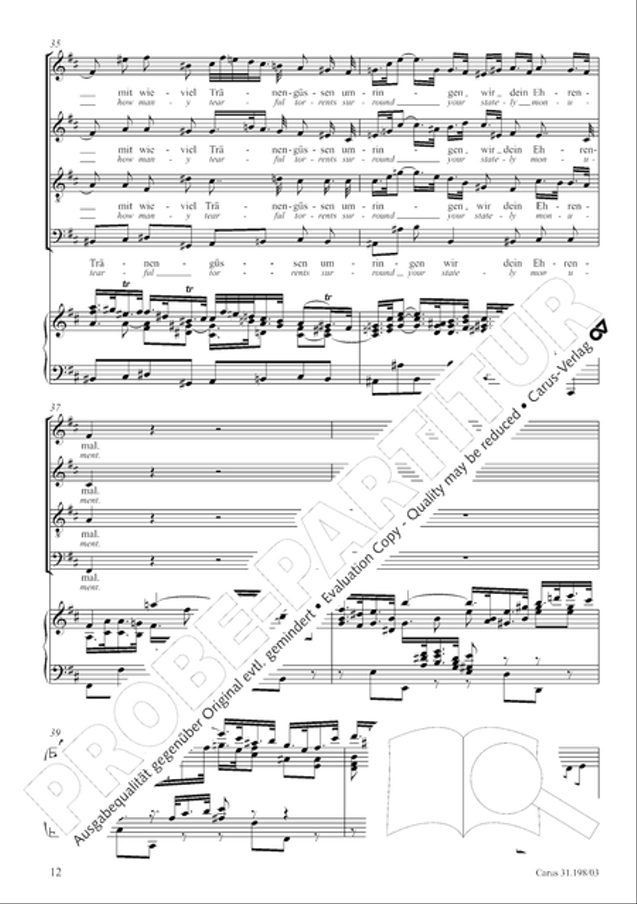 Let, Princess, let but one more ray (Lass, Furstin, lass noch einen Strahl) 4-Part scores gallery preview page 13