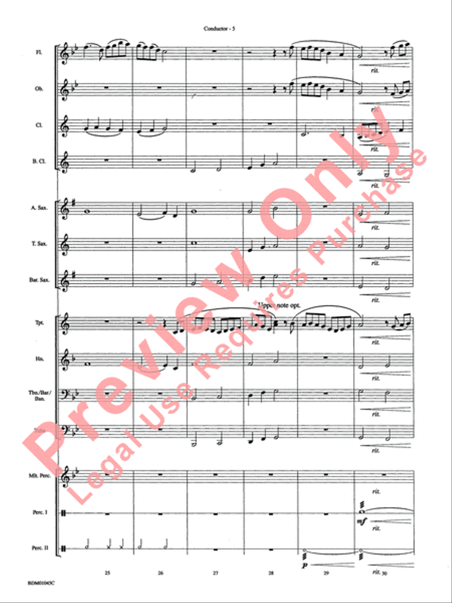Ayrshire Portrait Concert Band scores gallery preview page 8