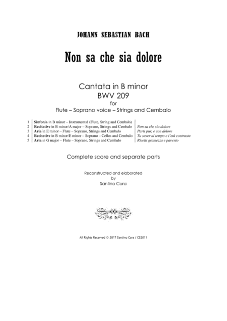 Bach - Non sa che sia dolore - Cantata BWV 209 for Flute, Soprano, Strings and Cembalo SA scores gallery preview page 1