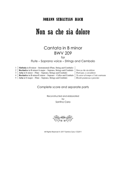 Bach - Non sa che sia dolore - Cantata BWV 209 for Flute, Soprano, Strings and Cembalo image number null