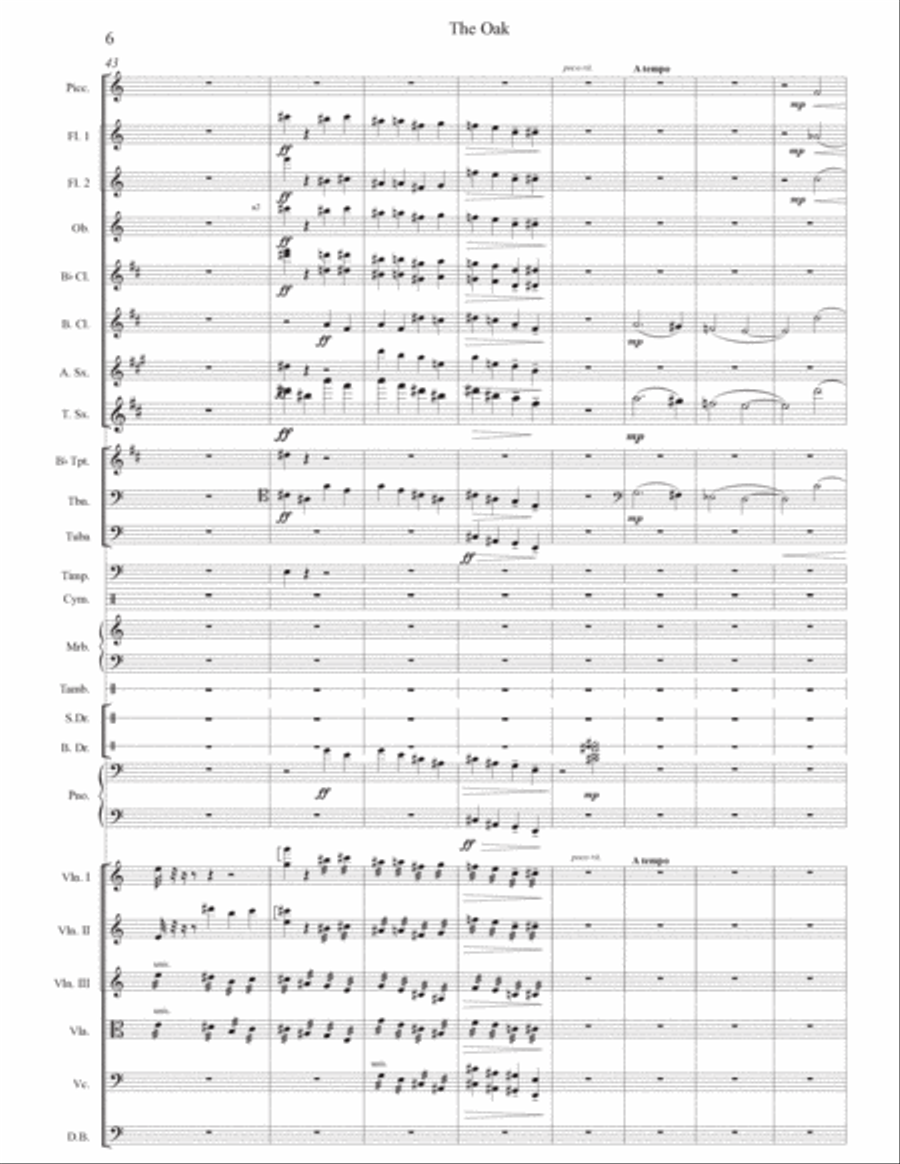 The Oak Chamber Orchestra scores gallery preview page 6