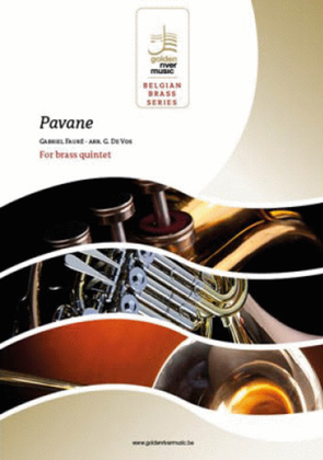 Book cover for Pavane