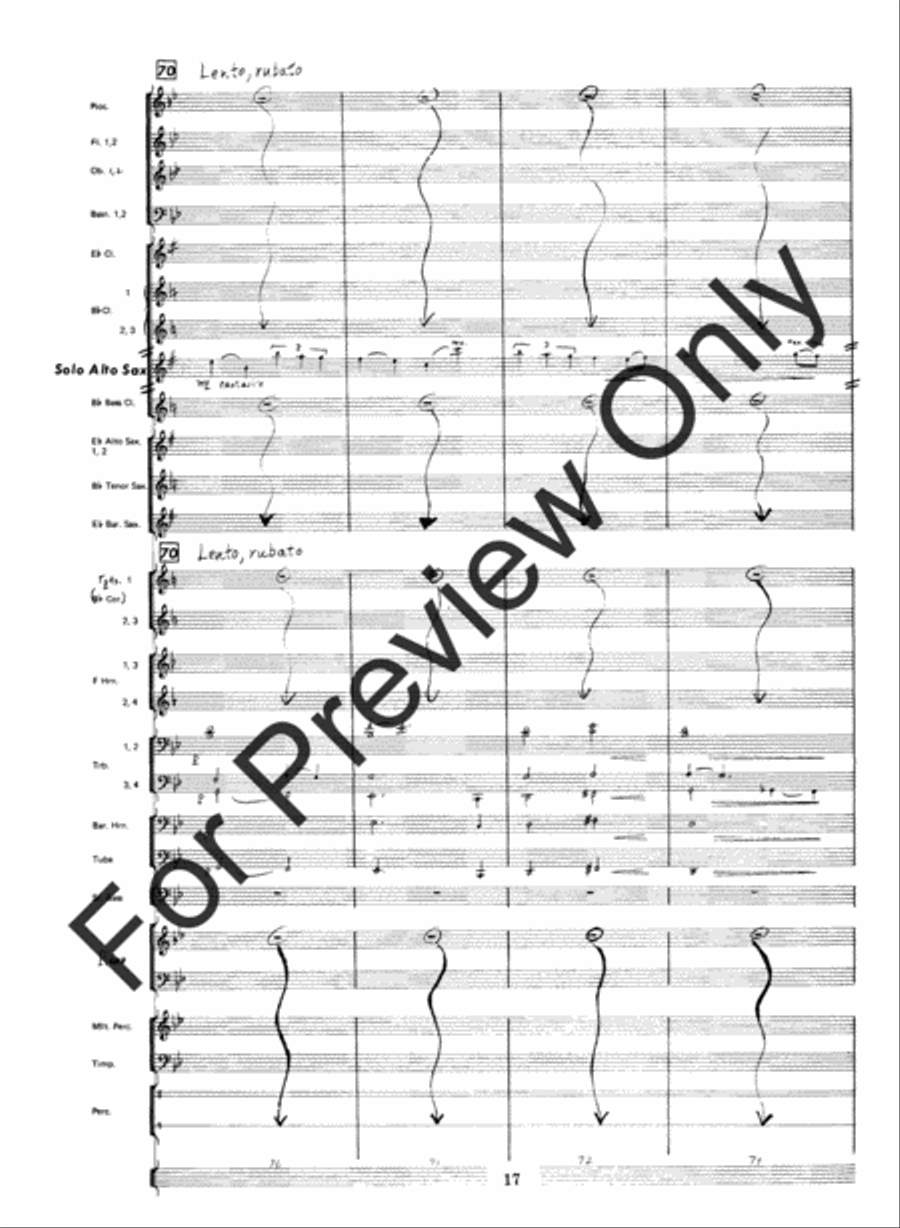 Fantasia For Alto Saxophone Concert Band (Score) Concert Band scores gallery preview page 19