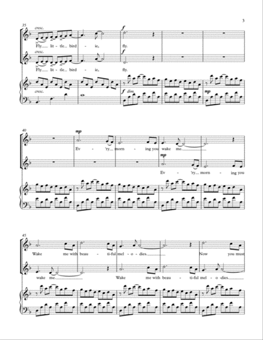 Fly Little Birdie SA scores gallery preview page 4