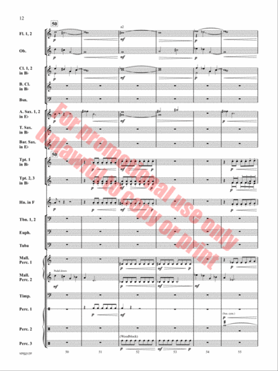 Hope Remains Within Concert Band scores gallery preview page 13