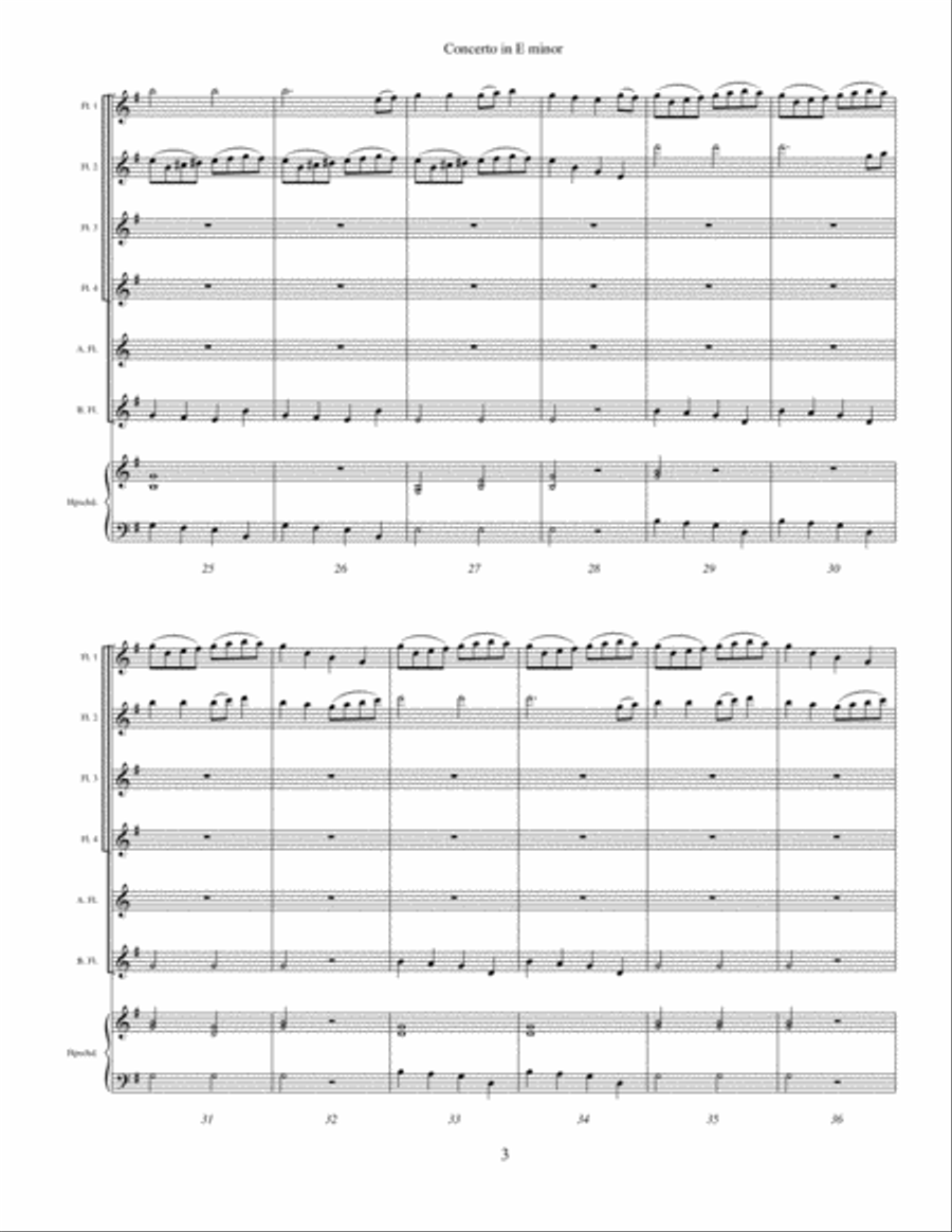 Concerto in E Minor Flute Choir scores gallery preview page 4
