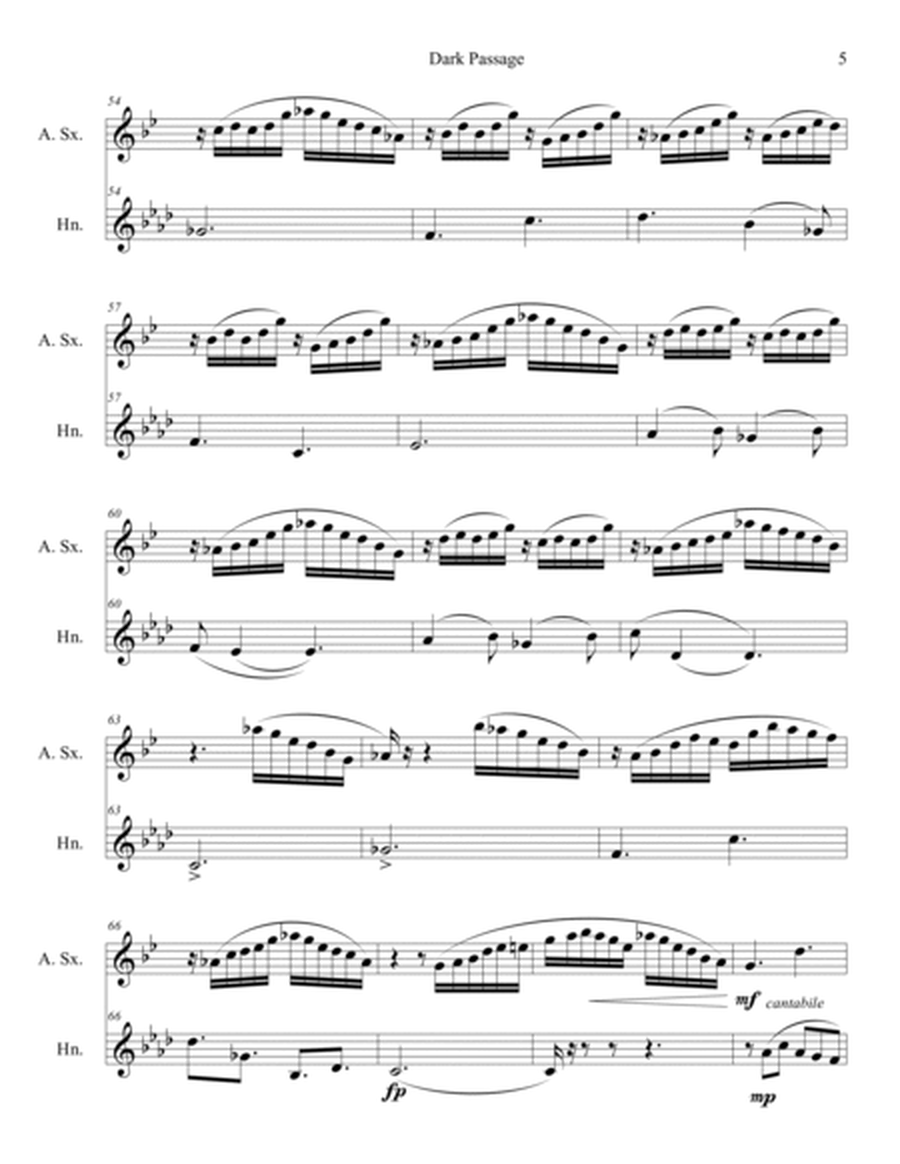 Dark Passage, Duet for Alto Saxophone and F Horn