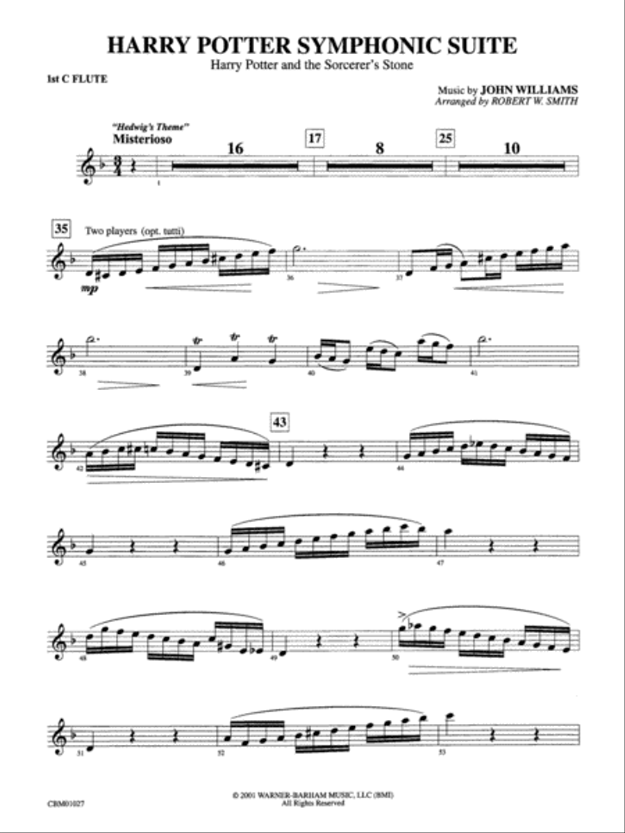 Harry Potter Symphonic Suite: Flute Concert Band scores gallery preview page 1