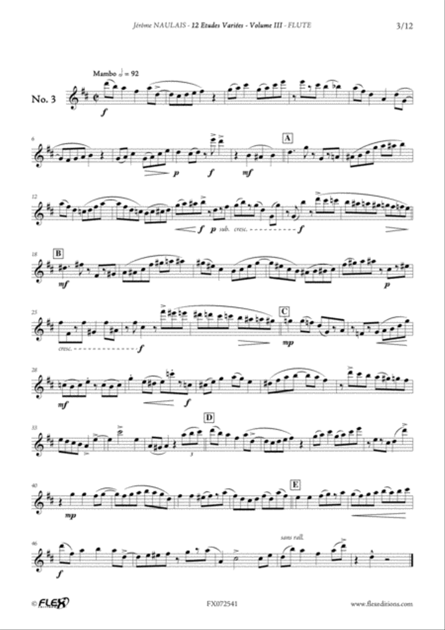 12 Etudes Variees - Volume III Flute Solo scores gallery preview page 4