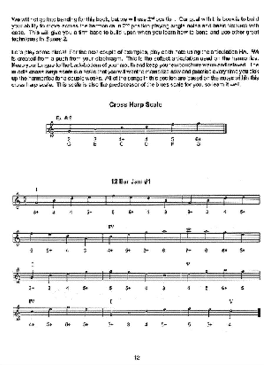 Basic Blues Harmonica Method Level 1 Harmonica scores gallery preview page 2