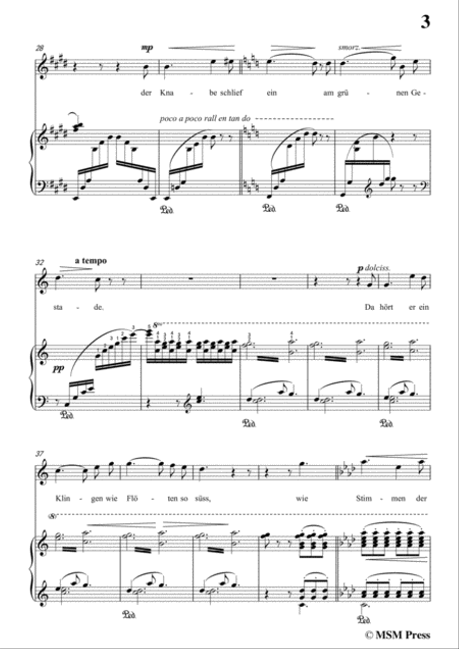 Liszt-Der fischerknabe in E Major,for Voice and Piano Voice Solo scores gallery preview page 5