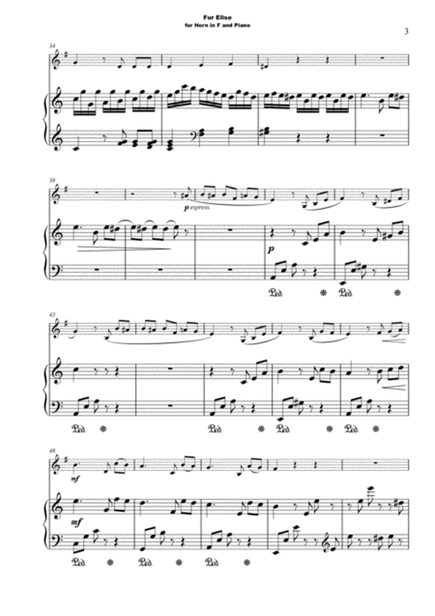 Für Elise, for Solo Horn in F and Piano