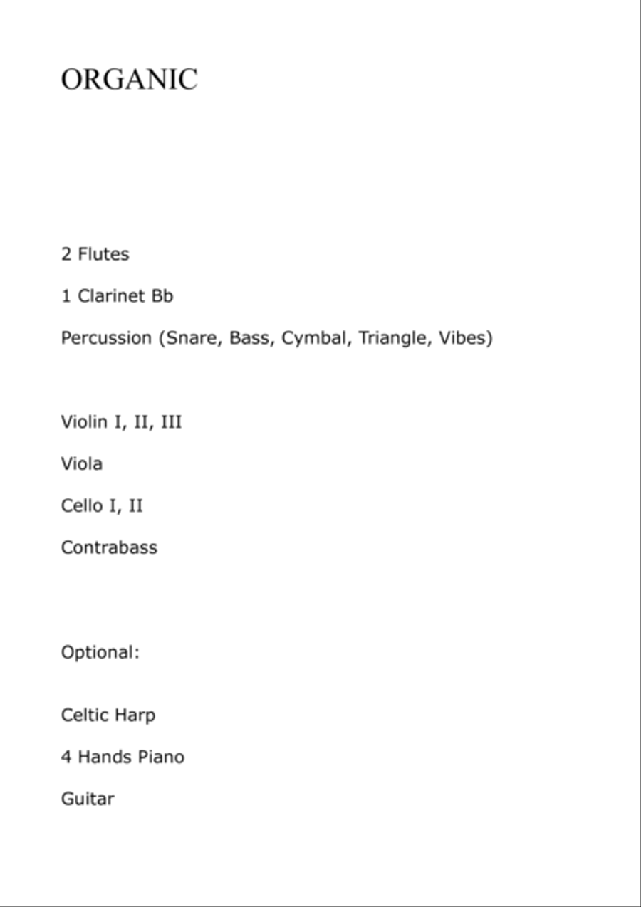 Franz Schubert - Military March n.1 op.51 in D Major - for Didactical Orchestra - Wind and percussio Small Ensemble scores gallery preview page 2