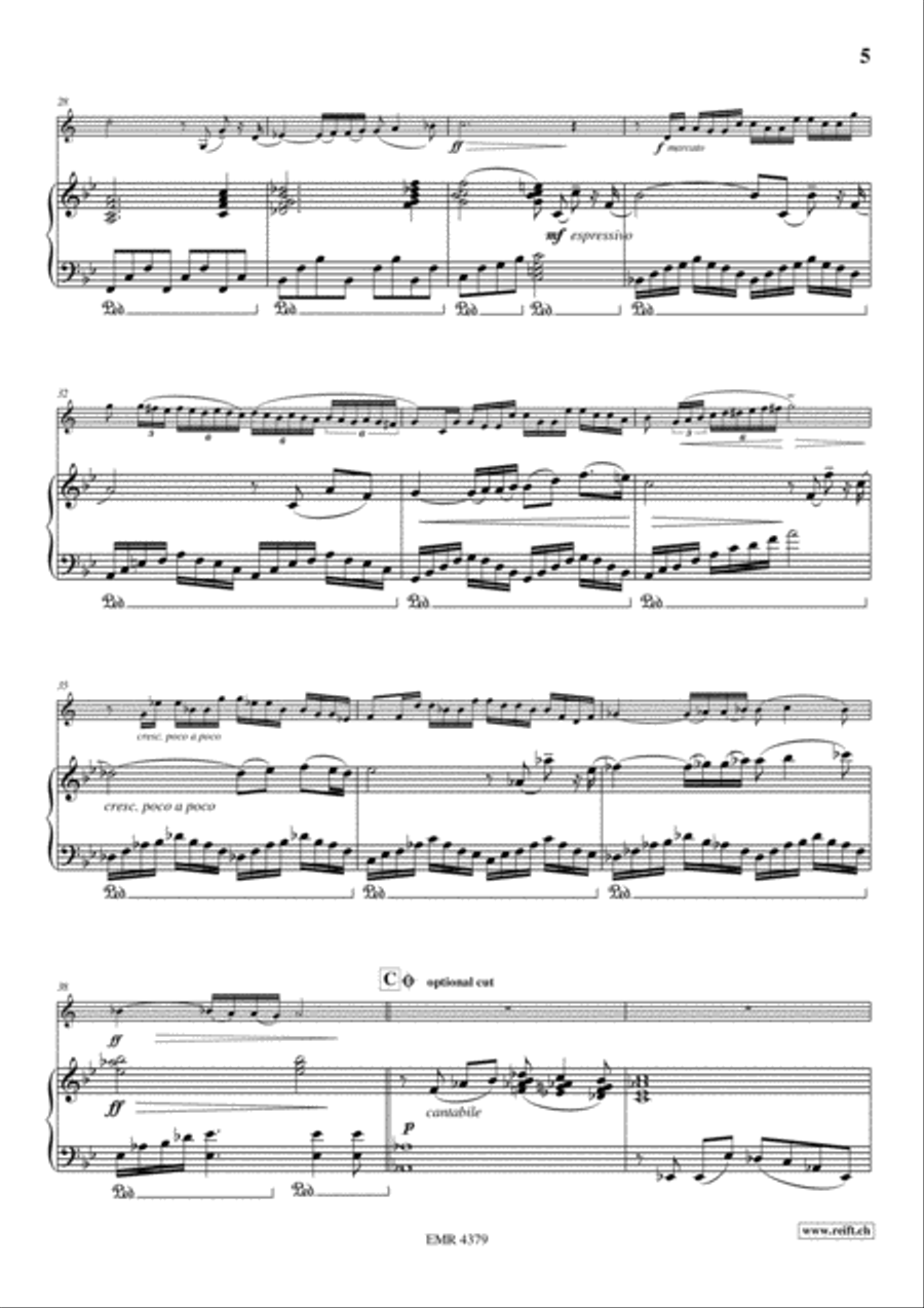 Summer Concertino Summer Concertino Voice Solo scores gallery preview page 6