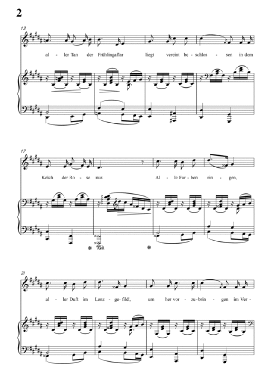 Schumann-Rose,Meer und Sonne in B Major for Voice and Piano Voice Solo scores gallery preview page 3