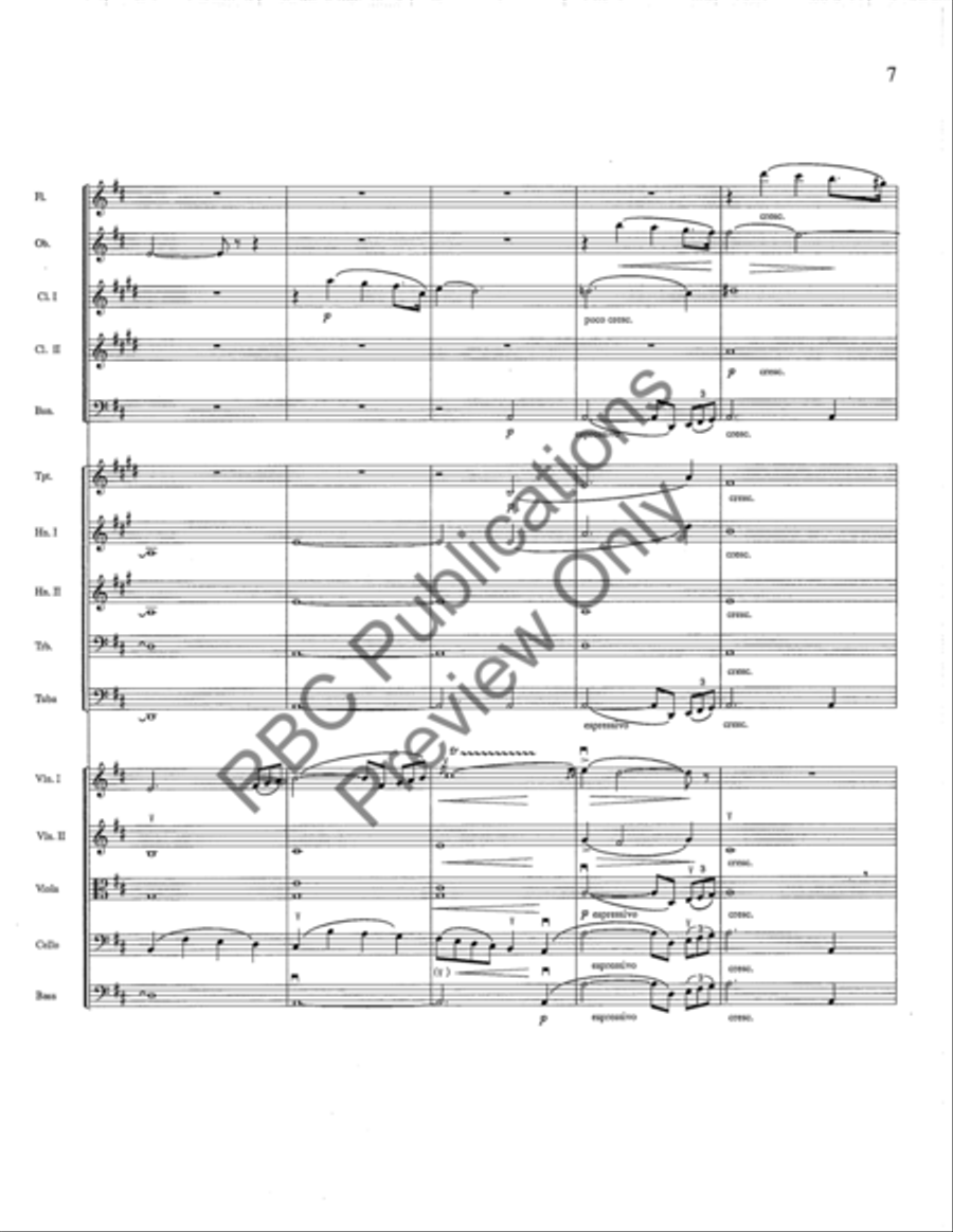 Siegfried Idyll Full Orchestra scores gallery preview page 8