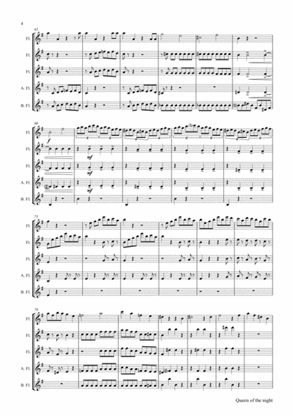 The Magic Flute Queen of the night - KV 620 W.A.Mozart - Flute Quintet - E-Minor