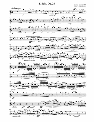 Book cover for Gabriel Fauré - Élégie, Op. 24 arranged for Baritone Saxophone