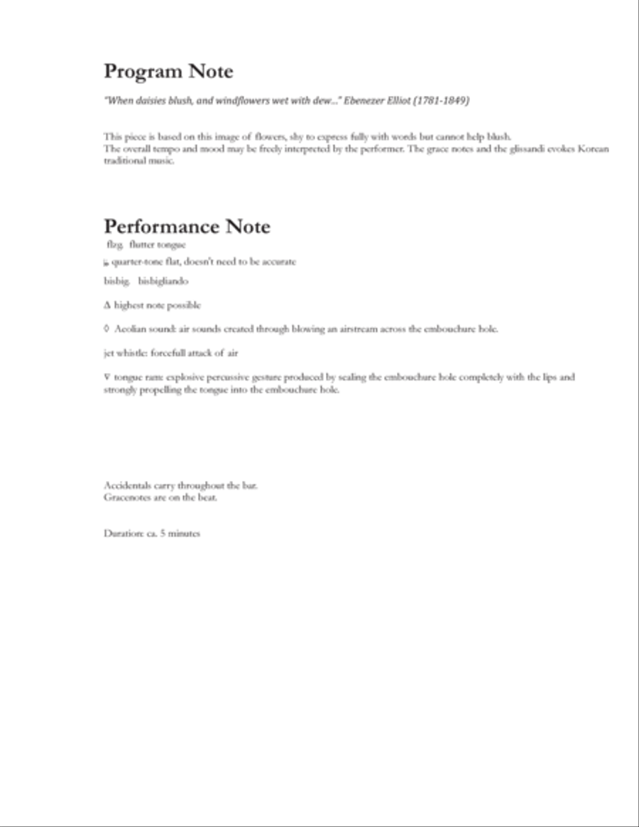 Blush for flute duo Flute Duet scores gallery preview page 2