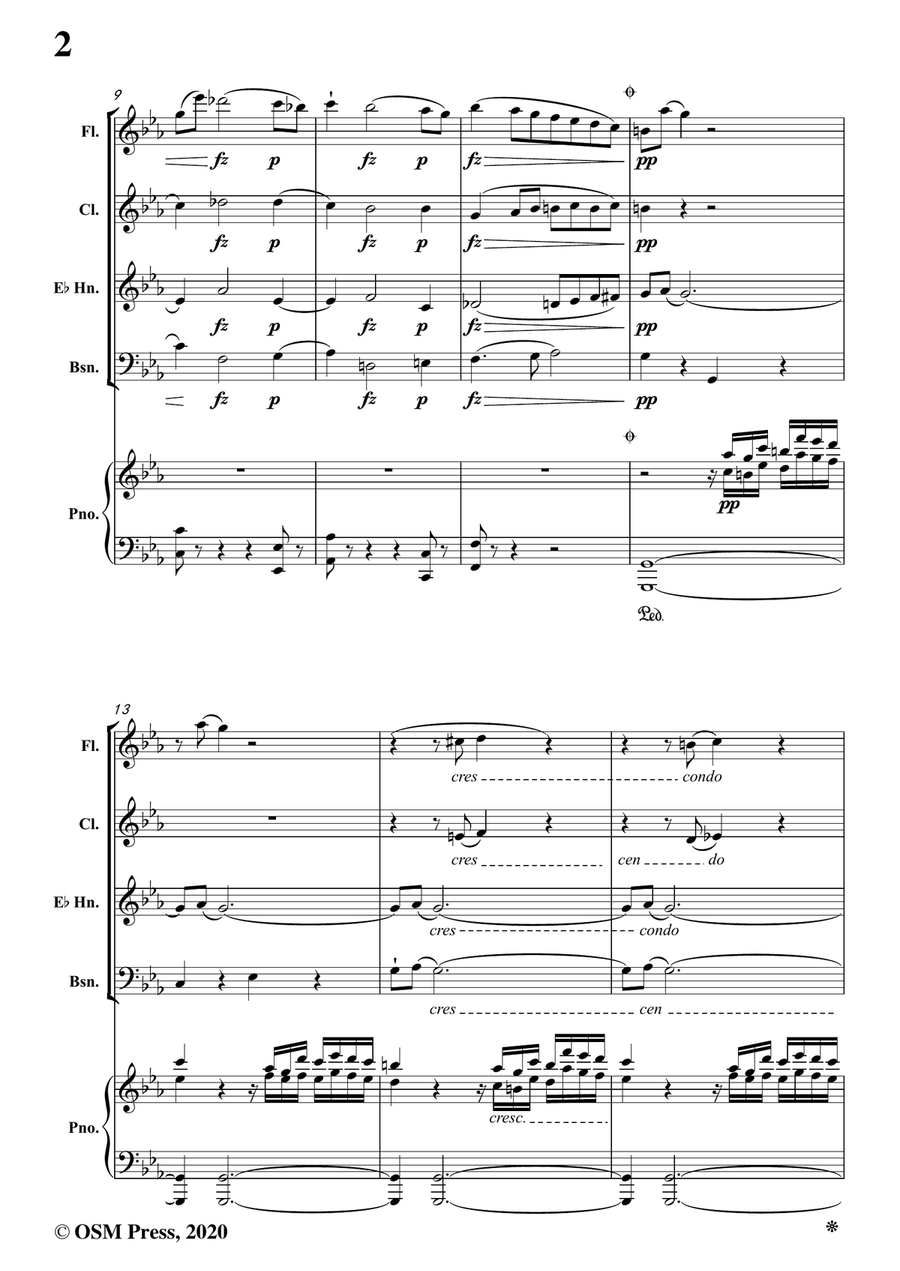 Spohr-Quintet,Op.52,for Piano and Winds Piano Solo scores gallery preview page 4