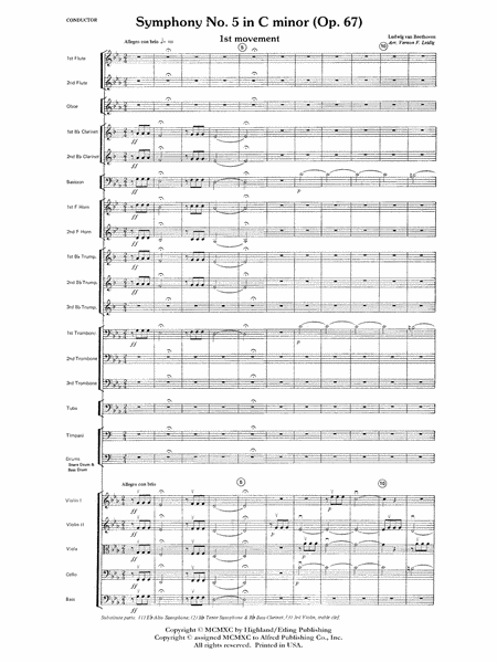 Beethoven's Symphony No. 5, 1st Movement: Score