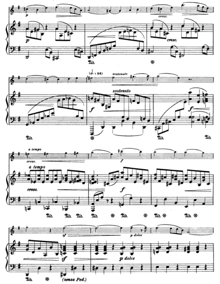 Johannes Brahms—Violin Sonata No. 1 in G major, Op. 78 ("Regen") for Violin and piano