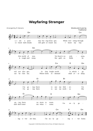 Book cover for Wayfaring Stranger (Key of G Minor)