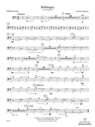 Soliloquy for Orchestra: String Bass