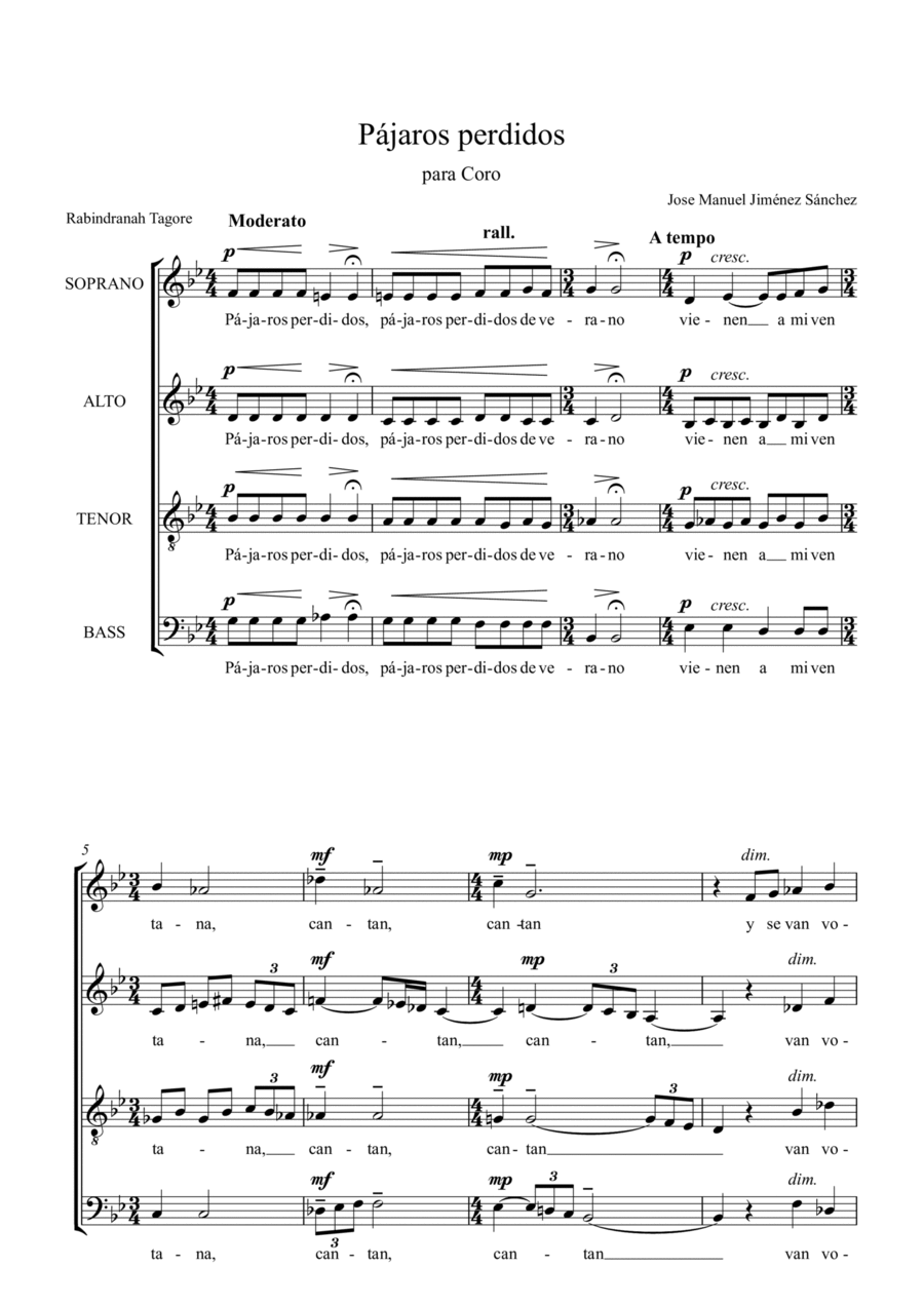 PÁJAROS PERDIDOS, para Coro 4-Part scores gallery preview page 1