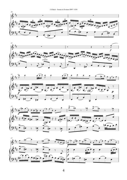 Johann Sebastian Bach—Sonata in B minor BWV 1030 for flute and piano