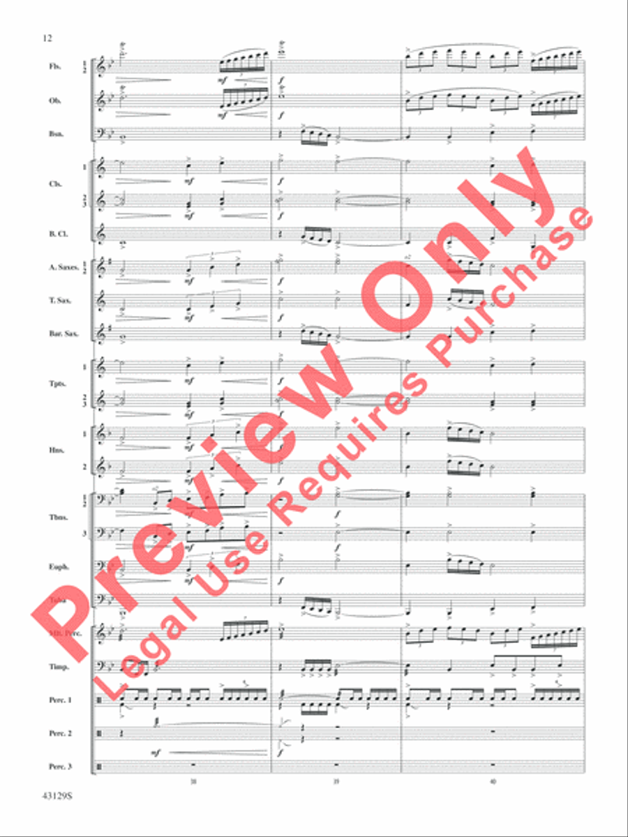 Soundtrack Soundtrack Concert Band scores gallery preview page 13