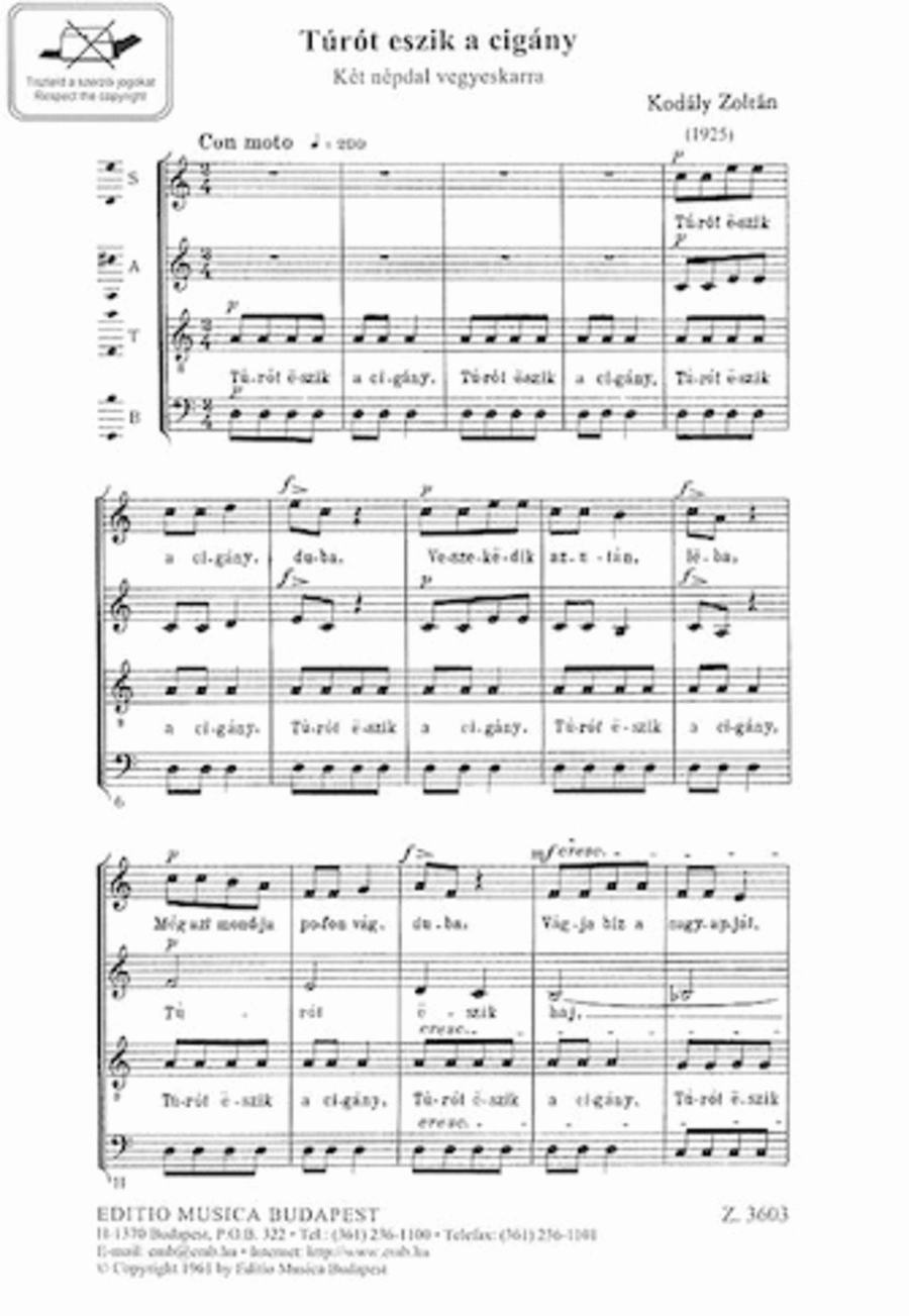 Turot eszik a cigany (See the Gypsy) Choir scores gallery preview page 1