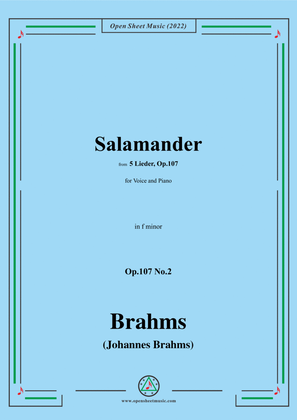 Book cover for Brahms-Salamander,Op.107 No.2 in f minor,for Voice and Piano