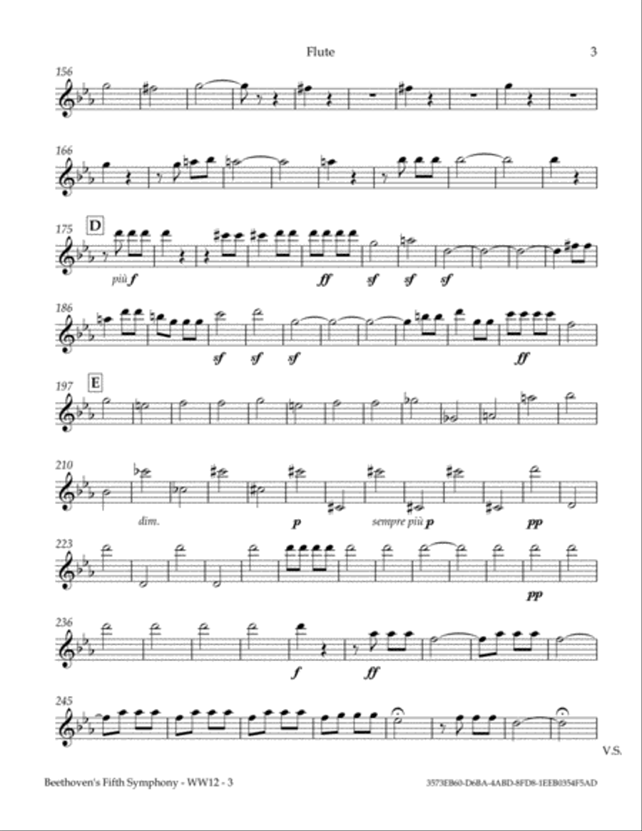 Beethoven's Fifth Symphony, 1st Movement Woodwind Quintet scores gallery preview page 5