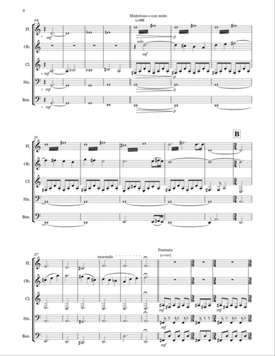 Introduction & Fantasia Woodwind Quintet scores gallery preview page 2