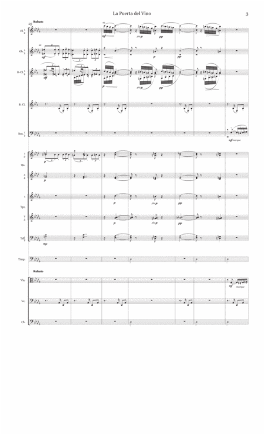 La Puerta del Vino - Score Only Full Orchestra scores gallery preview page 3