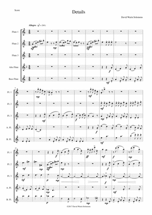 Book cover for Details for flute quintet (3 C flutes, 1 alto flute, 1 bass flute)