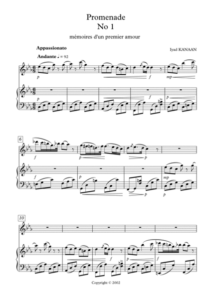 Flute and Piano No 1- mémoires d'un premier amour image number null