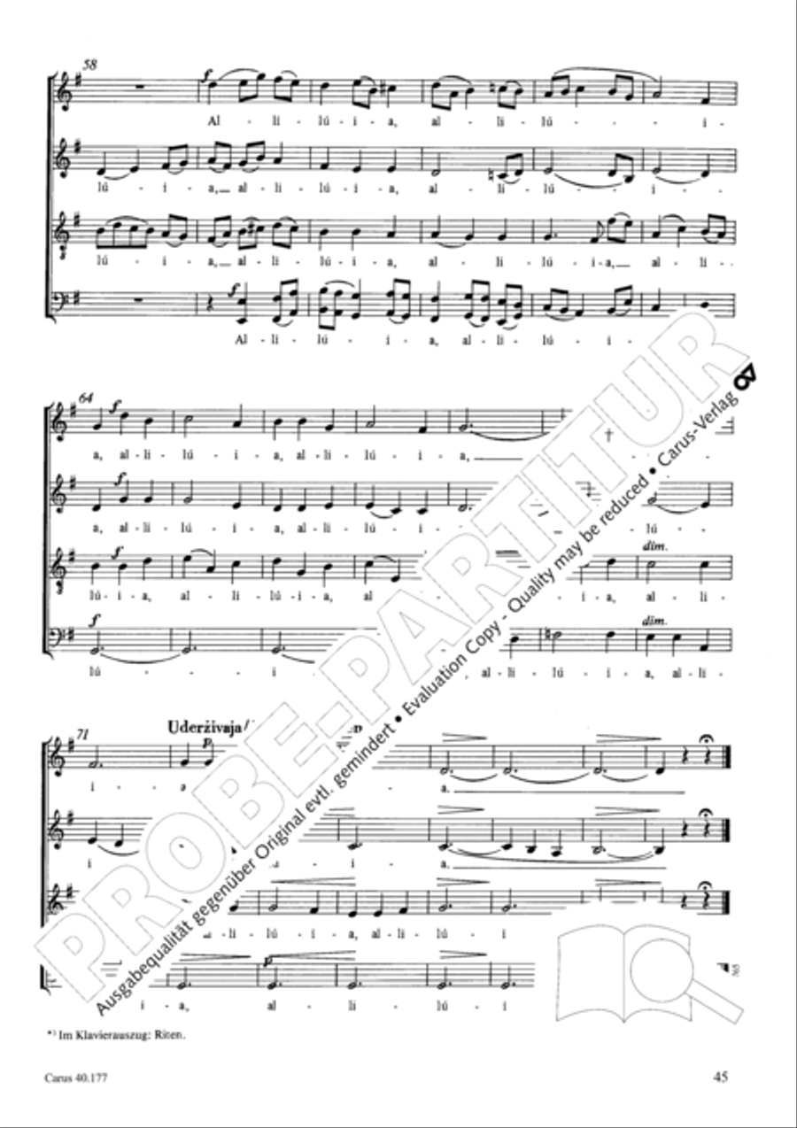 Neun liturgische Chore Collection / Songbook scores gallery preview page 46