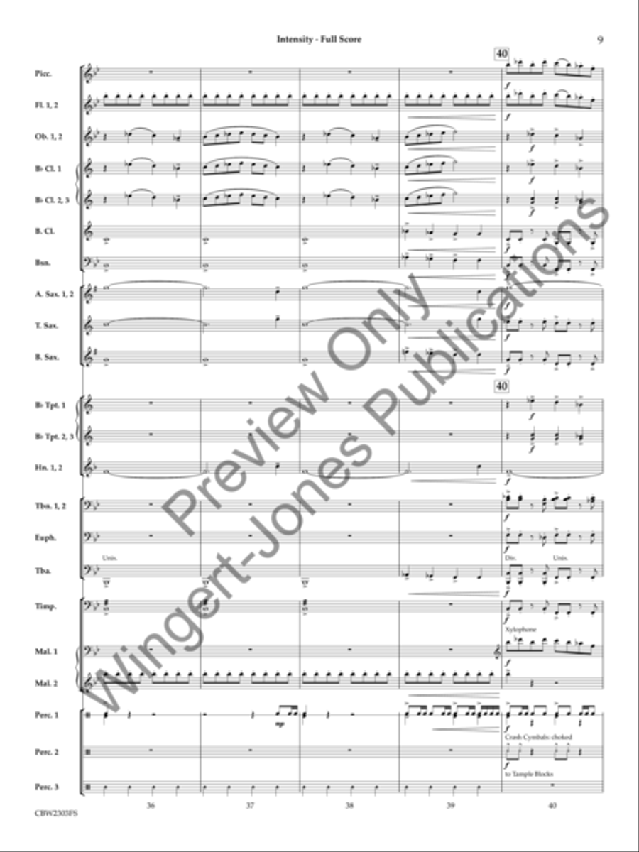Intensity Concert Band scores gallery preview page 10