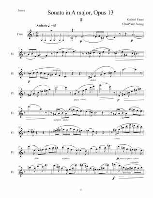 Violin Sonata in A major II. Andante, Opus 13