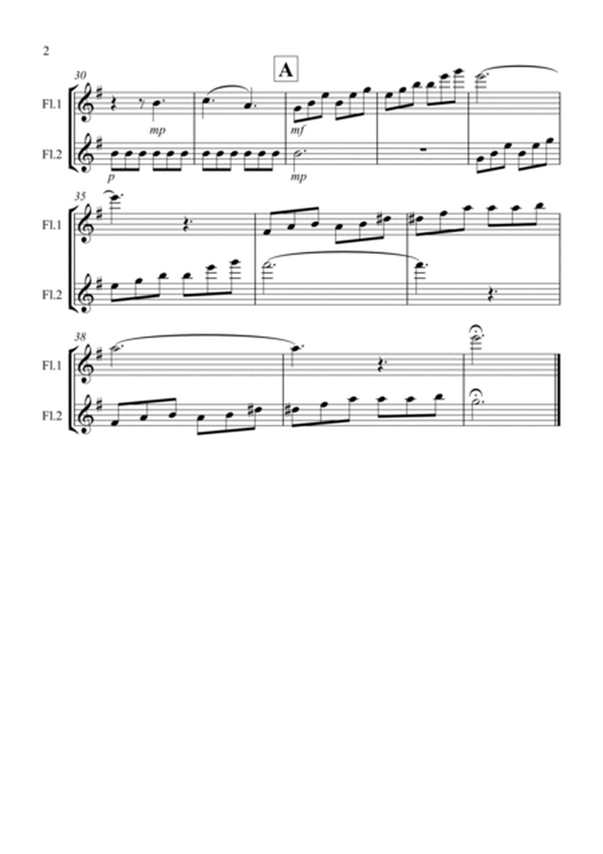 Moonlight Sonata (1st movement) for Flute Duet image number null
