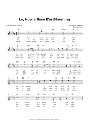 Lo, How a Rose E'er Blooming (Key of B Major)