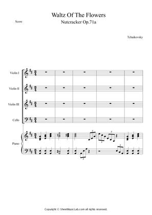 Nutcracker Op.71a - Waltz of the Flowers