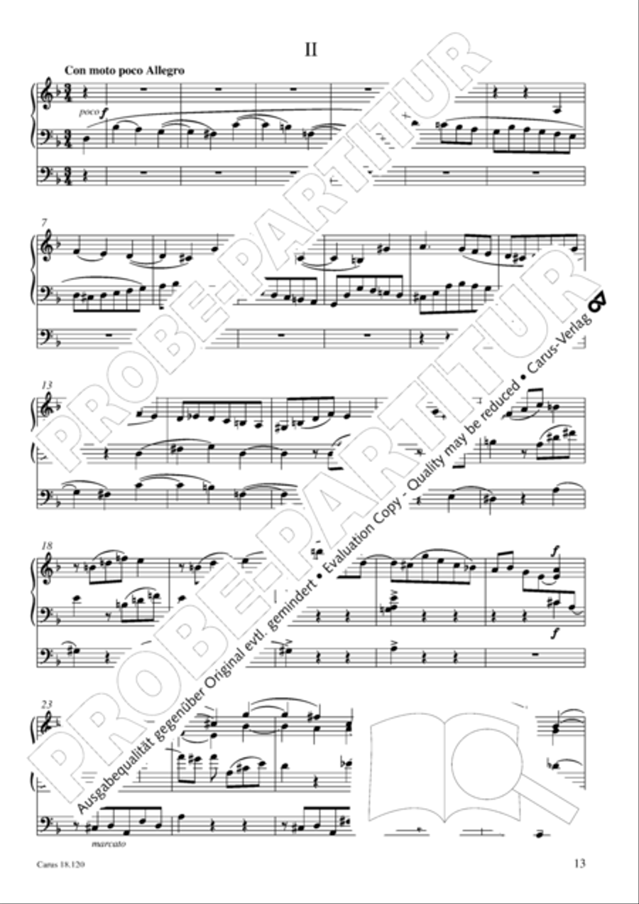 Sonata in D minor about the chorale O Haupt voll Blut und Wunden Organ scores gallery preview page 14