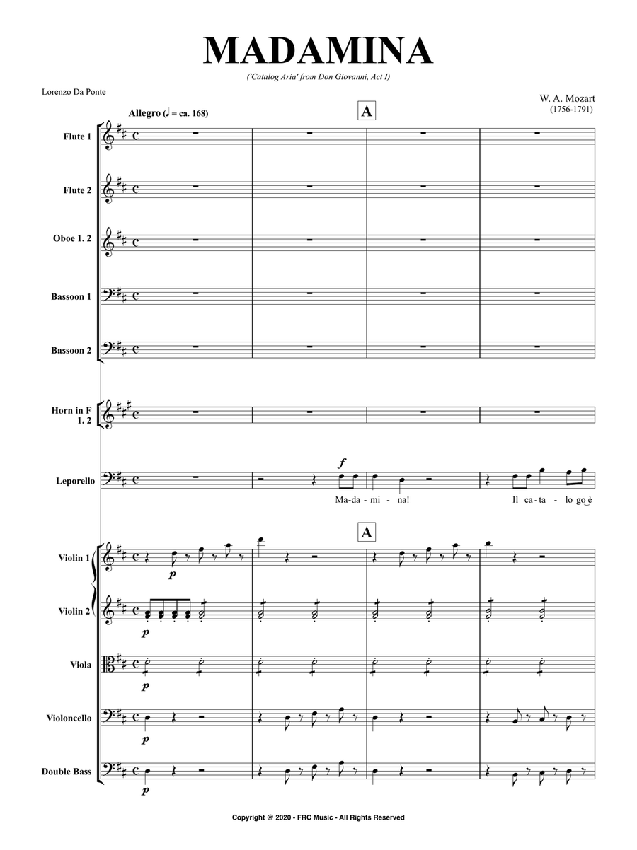 MADAMINA ('Catalog Aria' from Don Giovanni, Act I) Chamber Orchestra scores gallery preview page 3