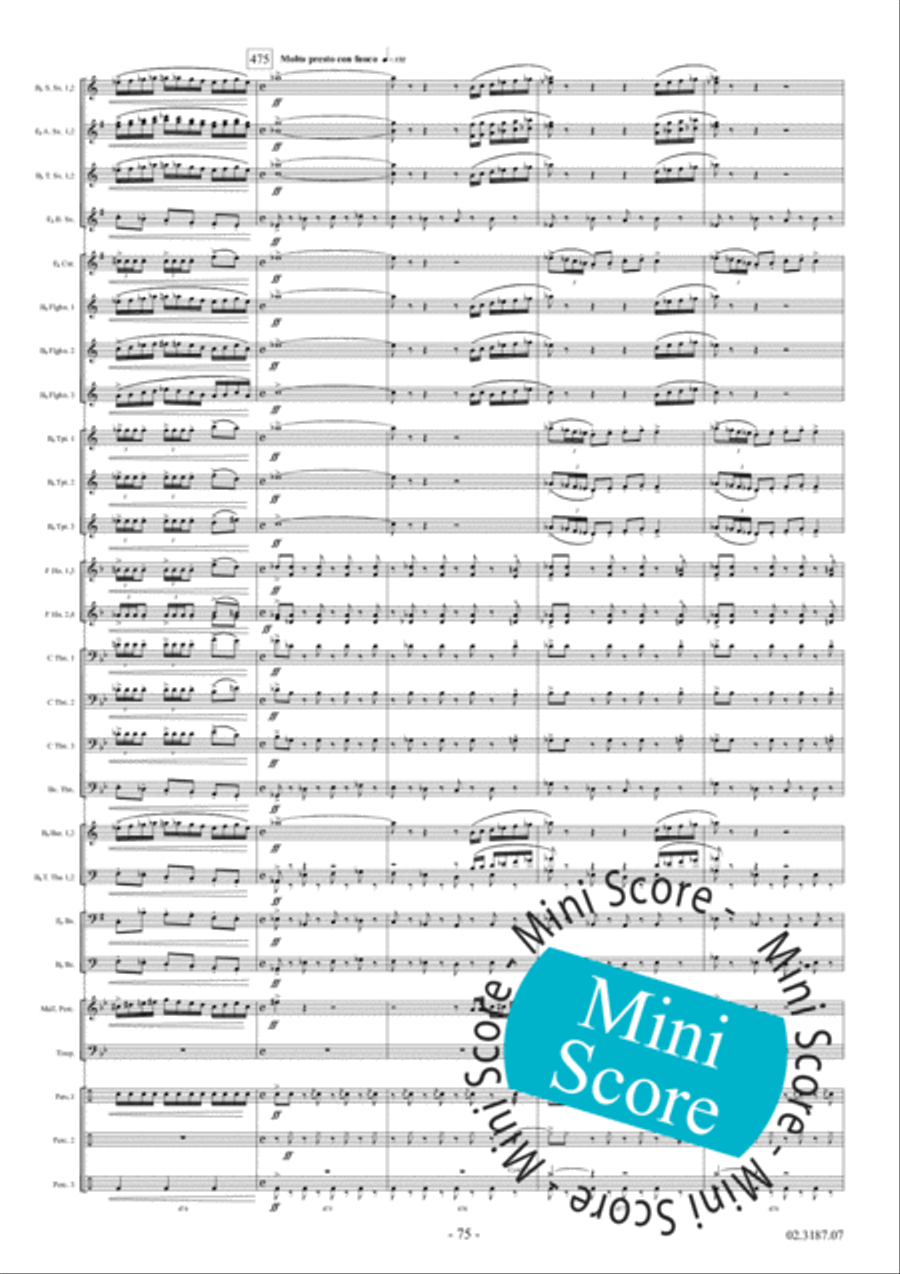 Fleodrodum Fanfare Band scores gallery preview page 81