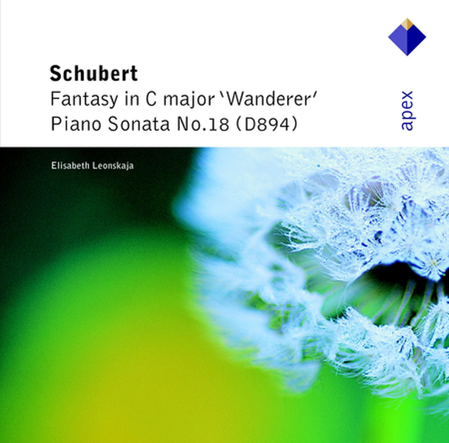 Fantasy: Wanderer Sonata No. 18