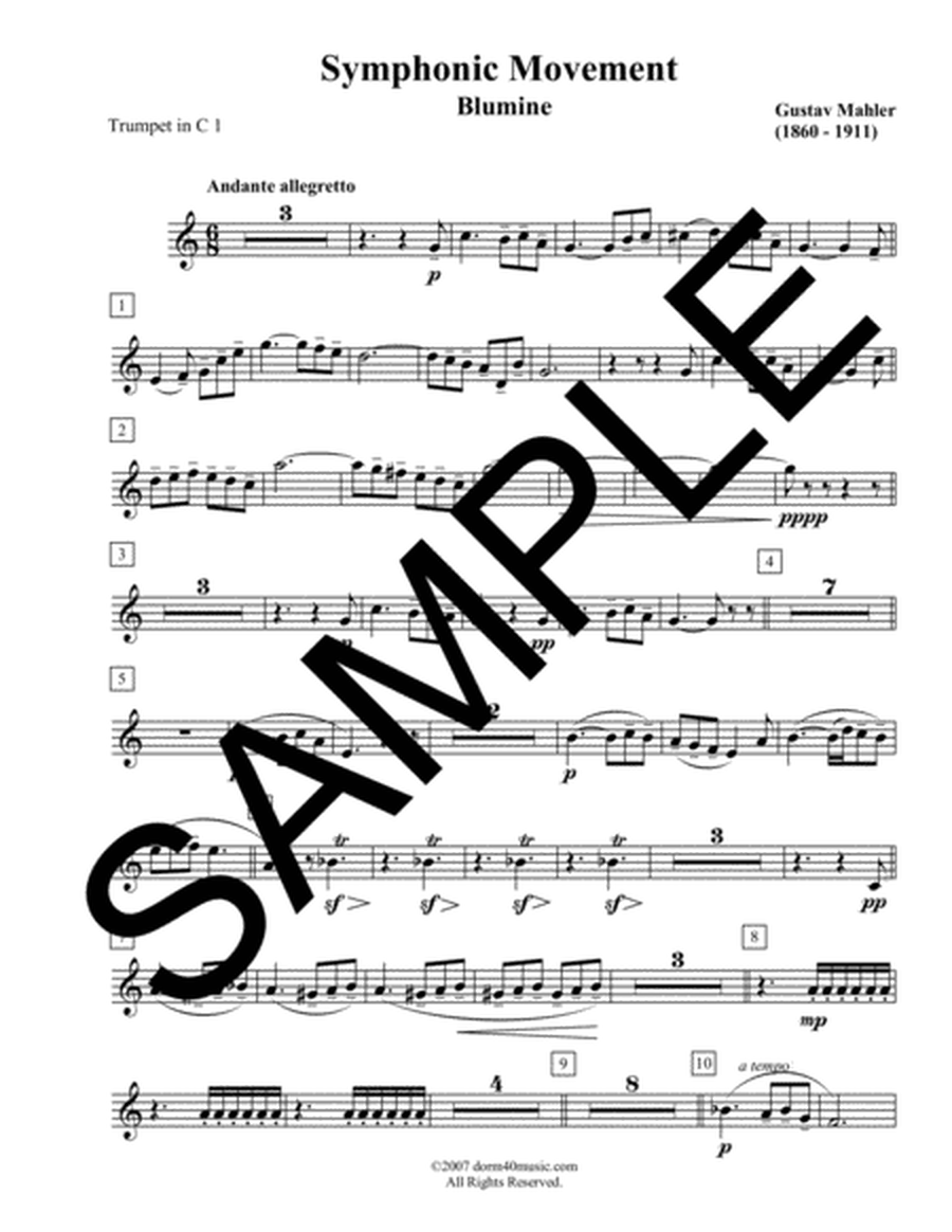 Blumine Symphonic Movement for Brass Quintet image number null