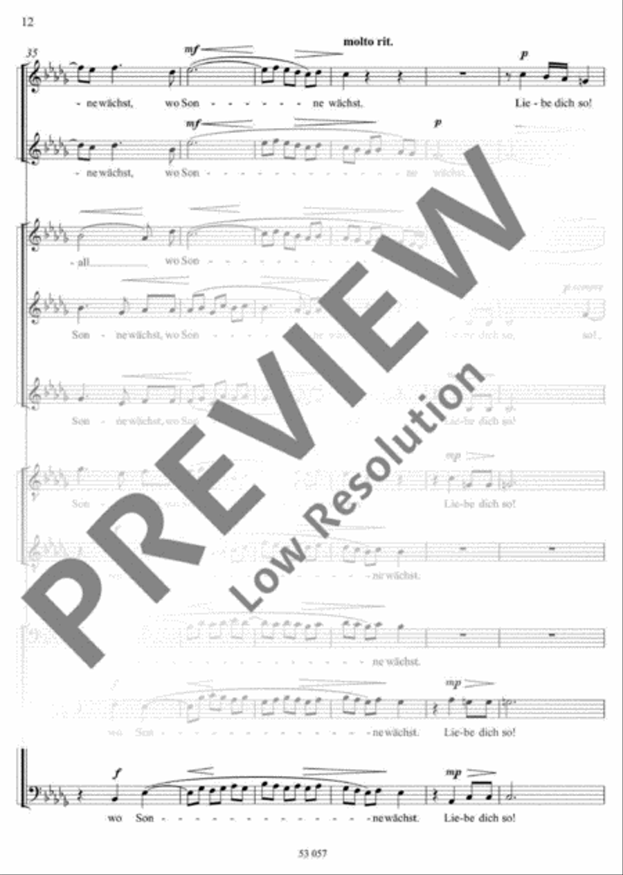Ich bin so allein A Cappella scores gallery preview page 13